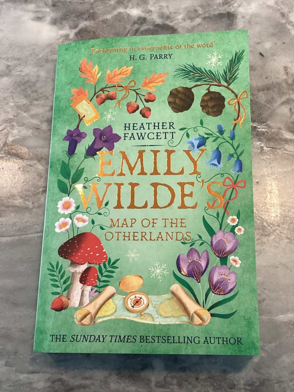 Emily Wilde: Map of the Otherlands UK paperback